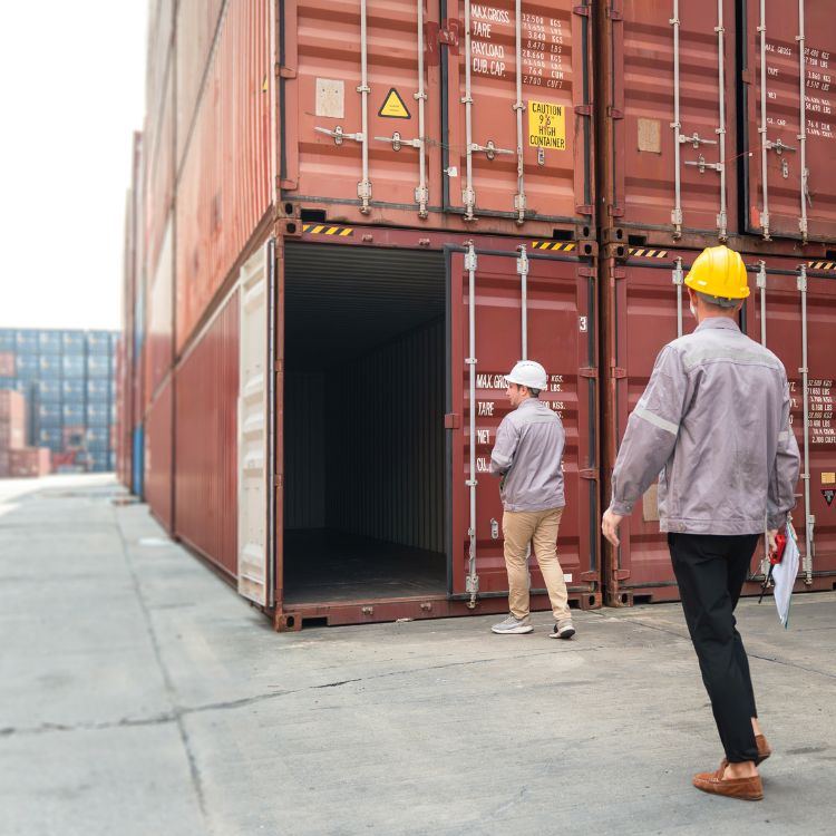 Arvion Shipping Executive & Ground Operations Team